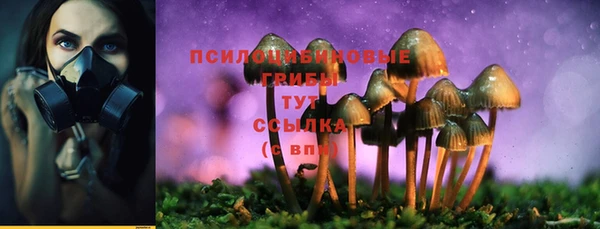 spice Горнозаводск