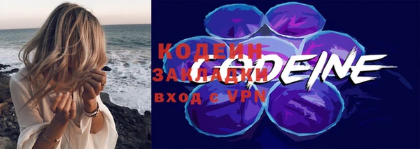 эйфоретик Вяземский
