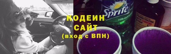 эйфоретик Вяземский