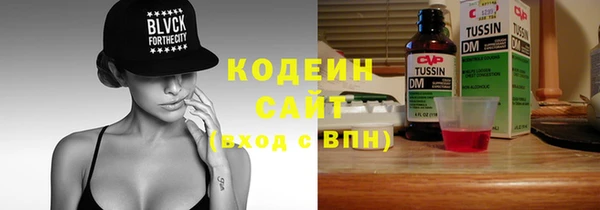 эйфоретик Вяземский