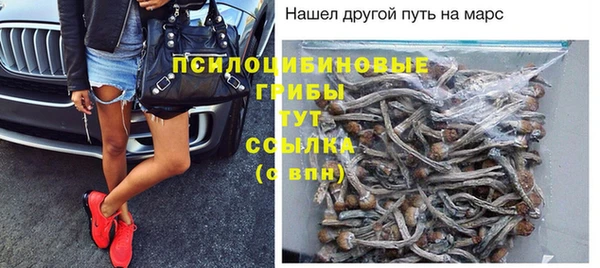 эйфоретик Вяземский