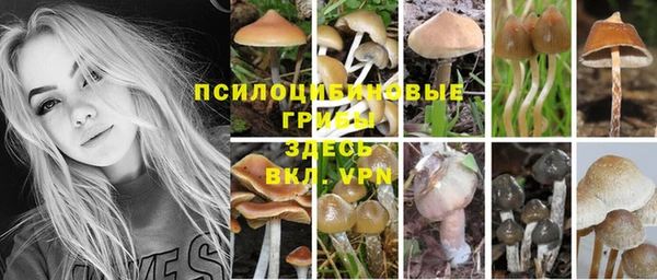 эйфоретик Вяземский