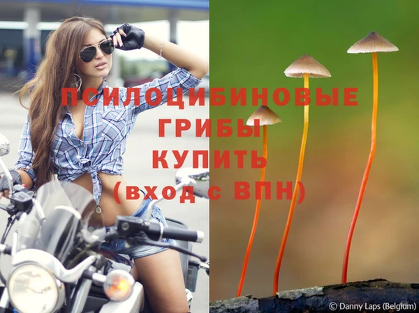 соль курить ск Вязники