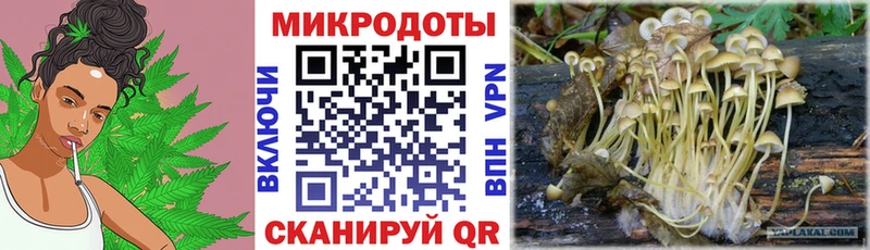 цены наркотик  Тбилисская  Псилоцибиновые грибы Cubensis 