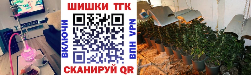 где купить наркоту  Тбилисская  Шишки марихуана OG Kush 